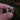 Locals: Backyard - Myna Enamel Mini Pin