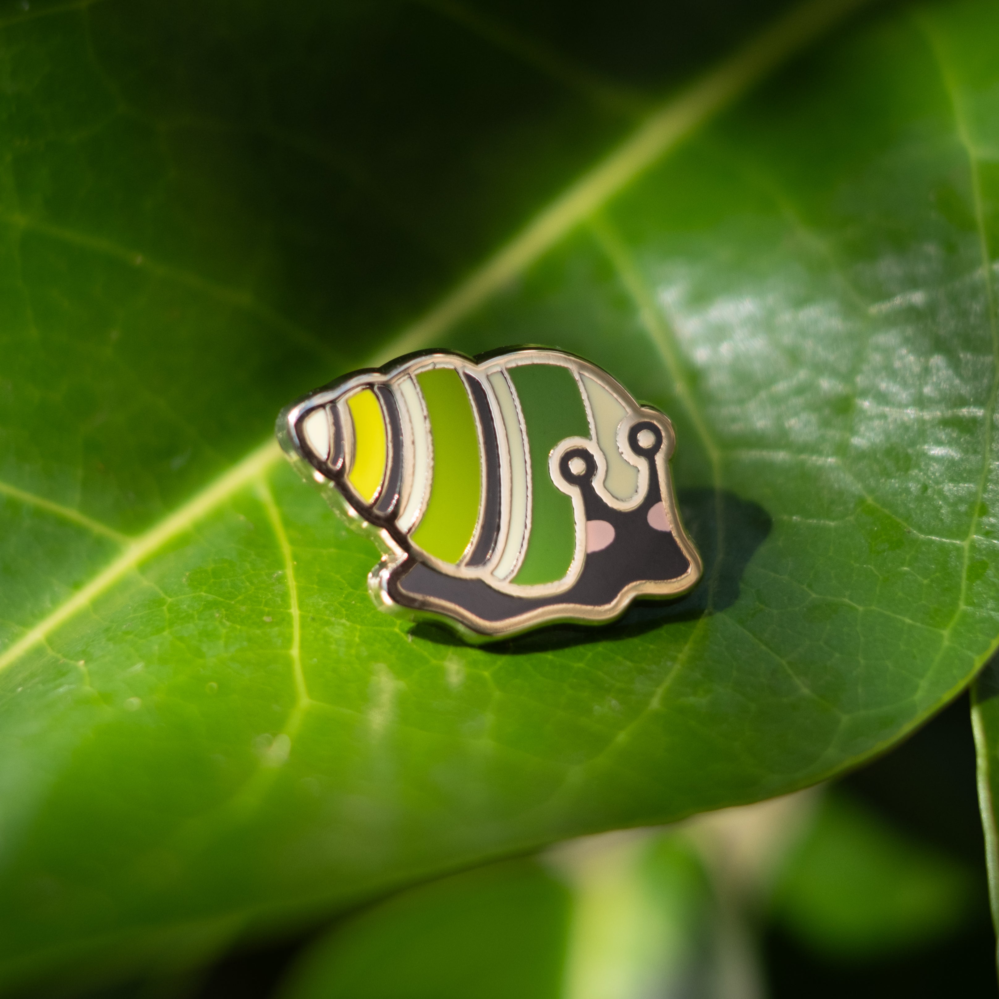 Kahuli Tree Snail Enamel Pin – Daimaru Design