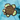 Locals: Reef - Honu